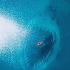 Meet your Posher, Catherine